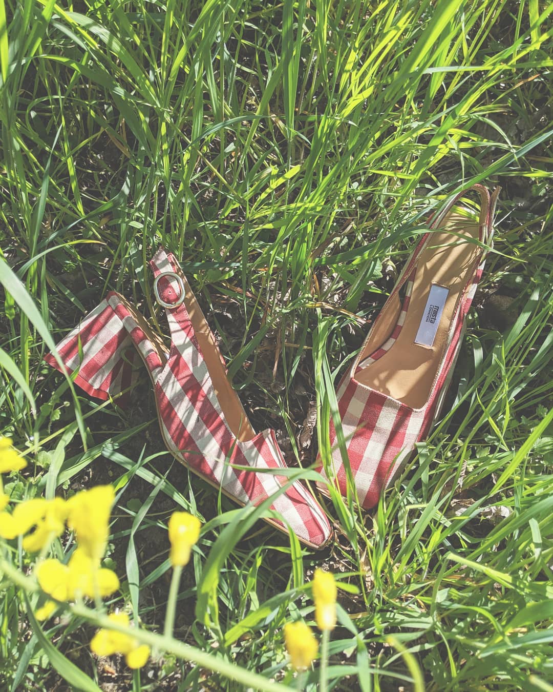 Hi babies @miista l advertising