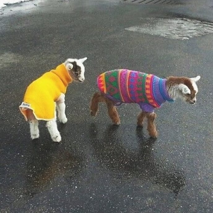 Current Summer Situation / RG @__s____o