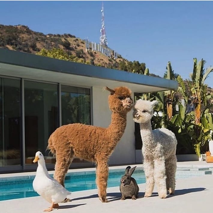 Pls hug the person next to u. #theworldneedsmorelove