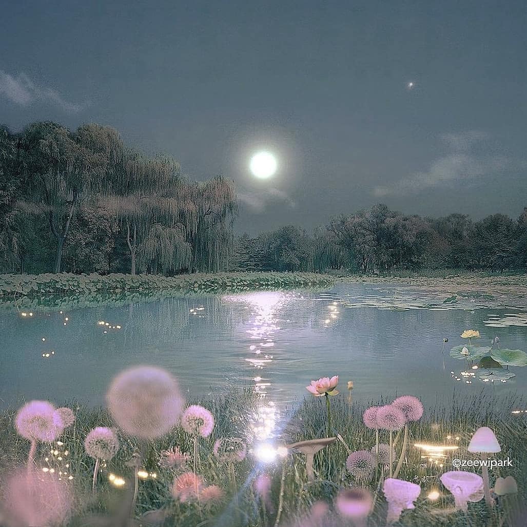 Beauty by @zeewipark